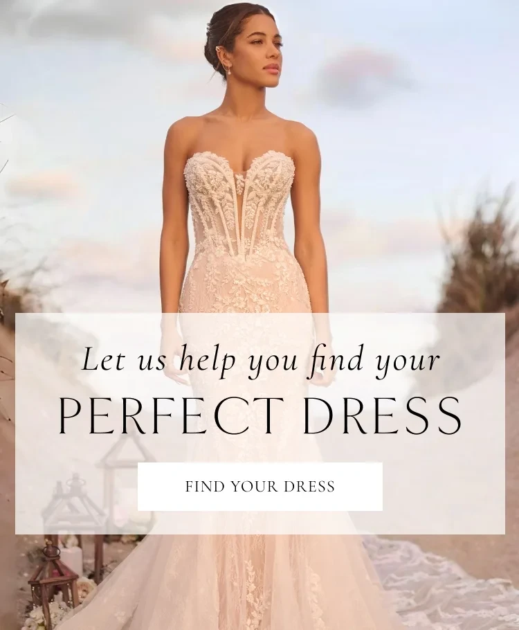 perfect dress banner 2025